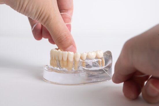 hands flossing a fixed bridge model