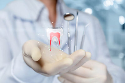 dentist holding a digital tooth and instruments