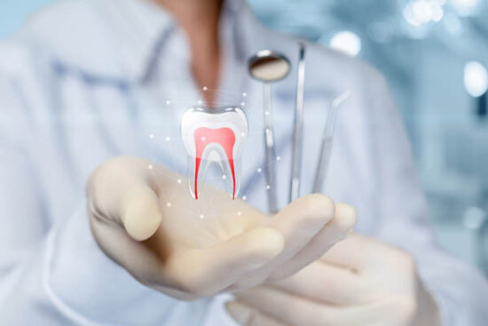 dentist holding a digital tooth and instruments